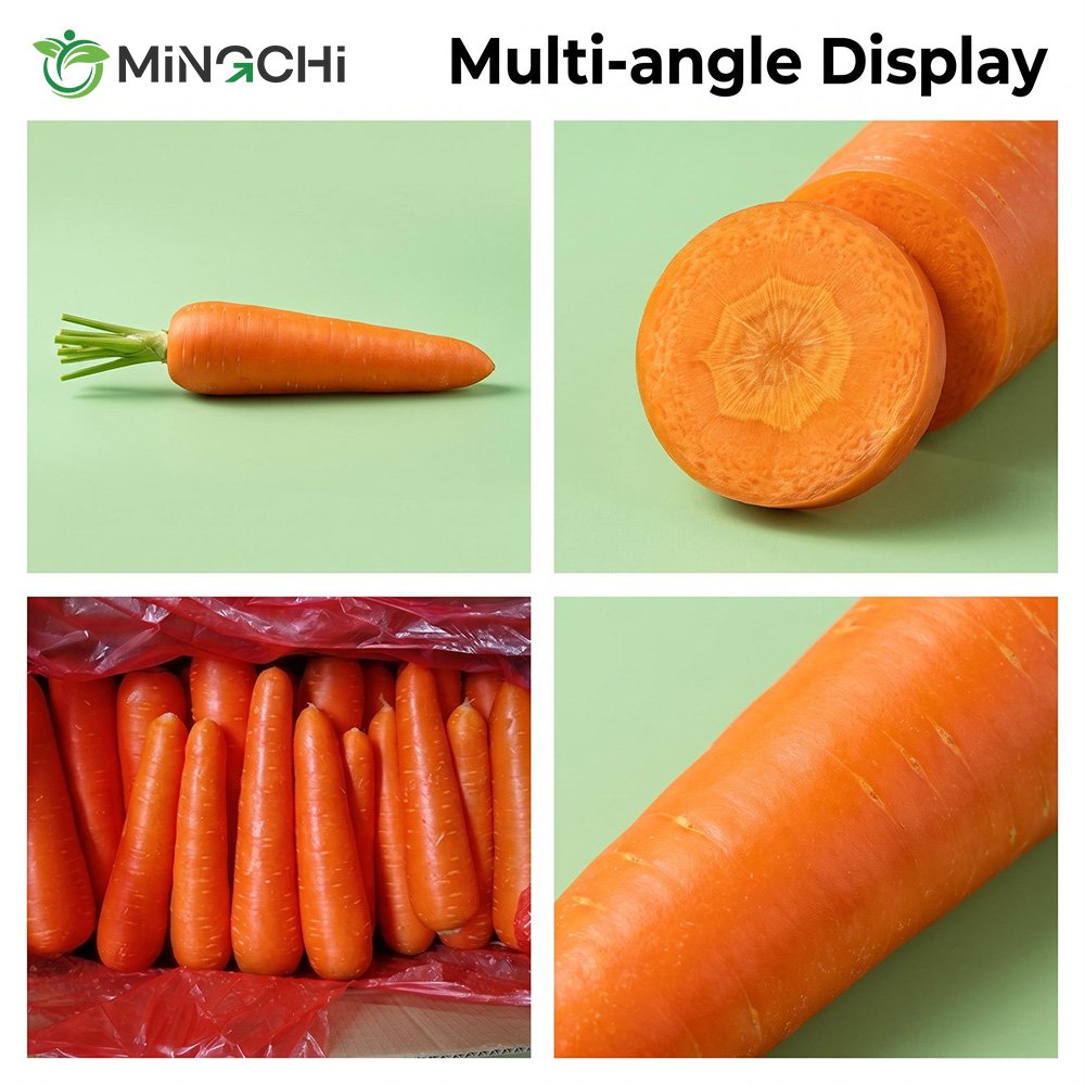 fresh carrot details fresh carrot details
