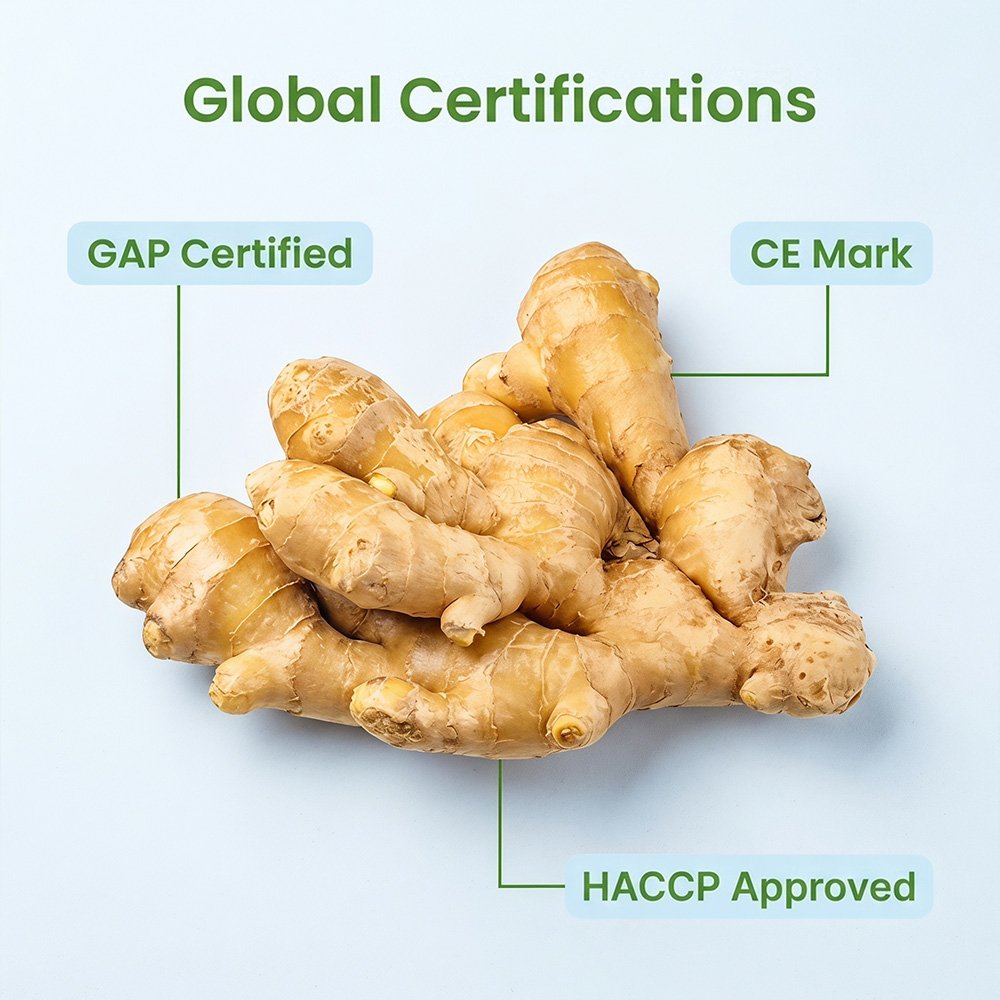 fresh ginger certifications fresh ginger certifications