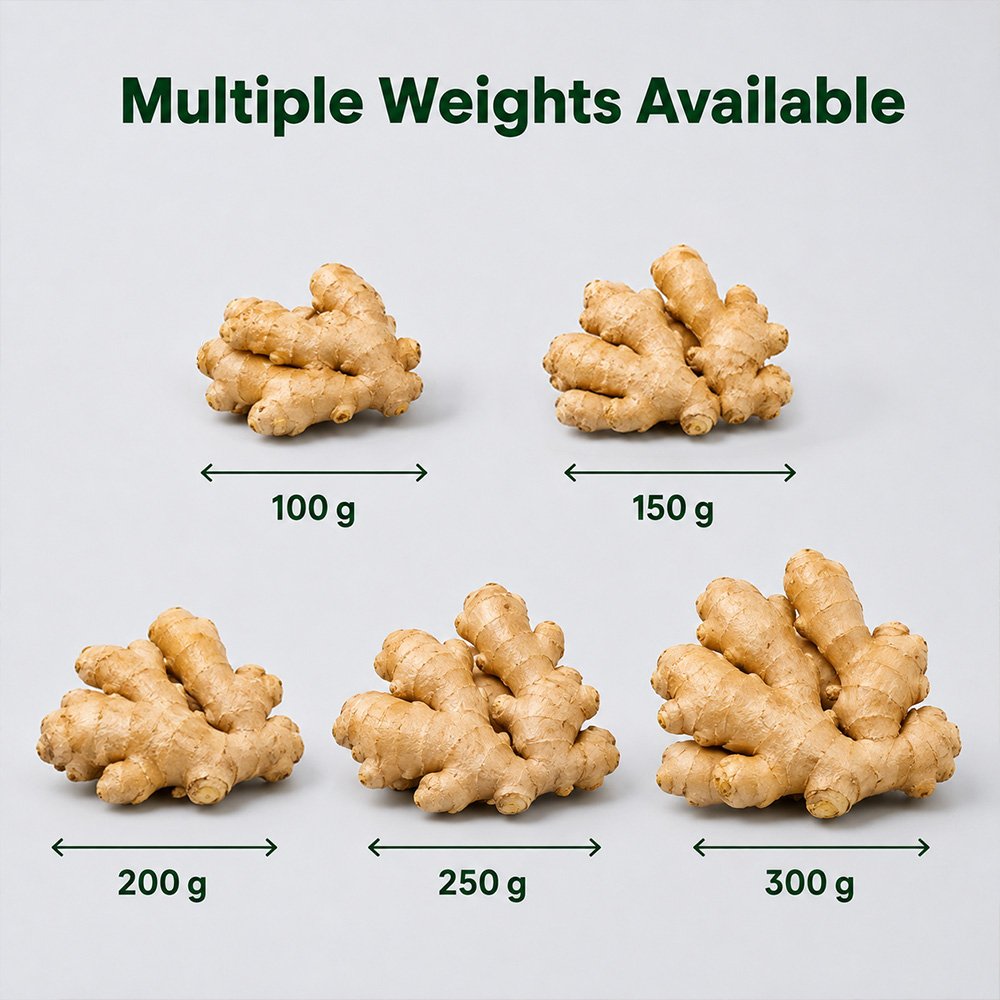 fresh ginger sizes fresh ginger sizes