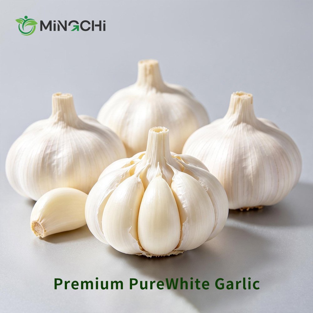 fresh white garlic main fresh white garlic main