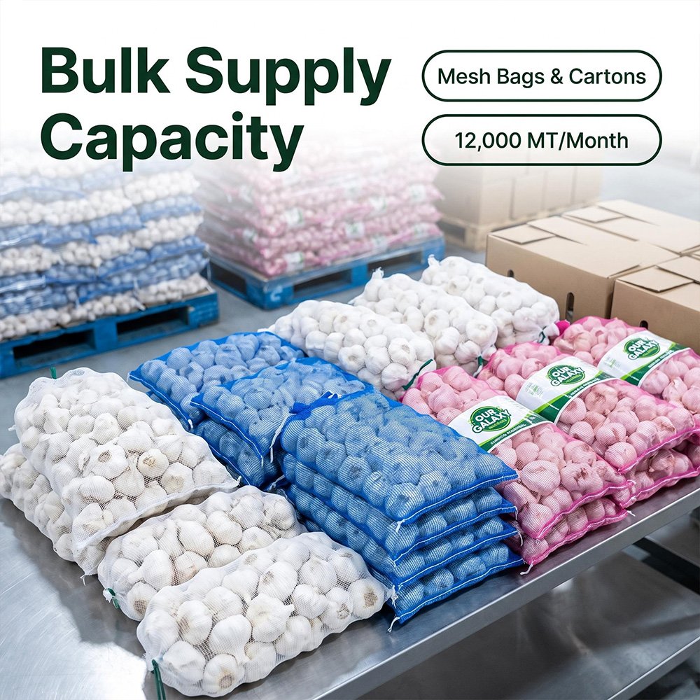 fresh white garlic packaging capacity fresh white garlic packaging capacity